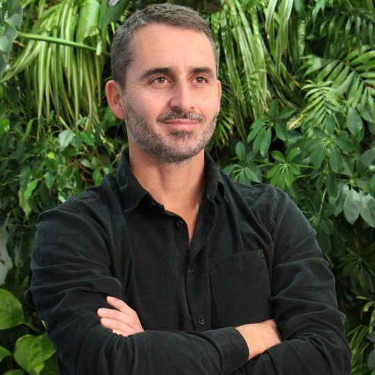 Theofilos Matsoukas